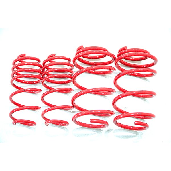 画像2: ダウンサス (2)