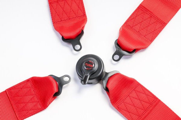 画像5: 4点　レーシングハーネス RED (5)