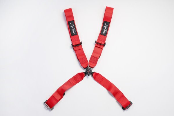 画像8: 4点　レーシングハーネス RED (8)